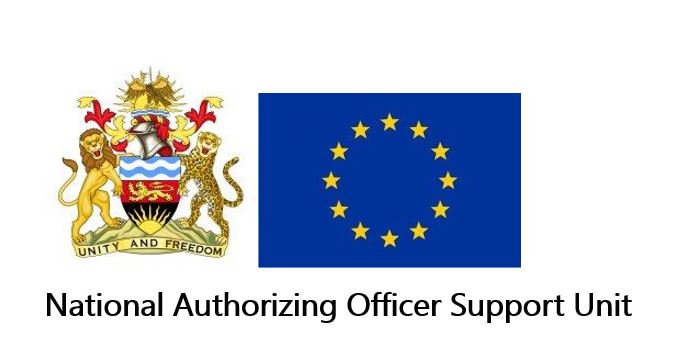 Team Europe Partnerships Portal (TEPP)